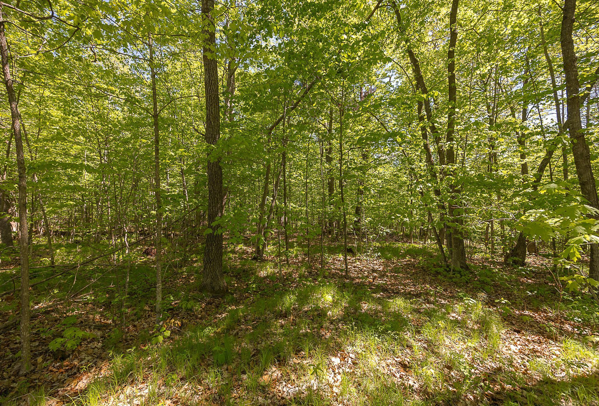 TBD Cardarelle Court, Hackensack, Minnesota image 16