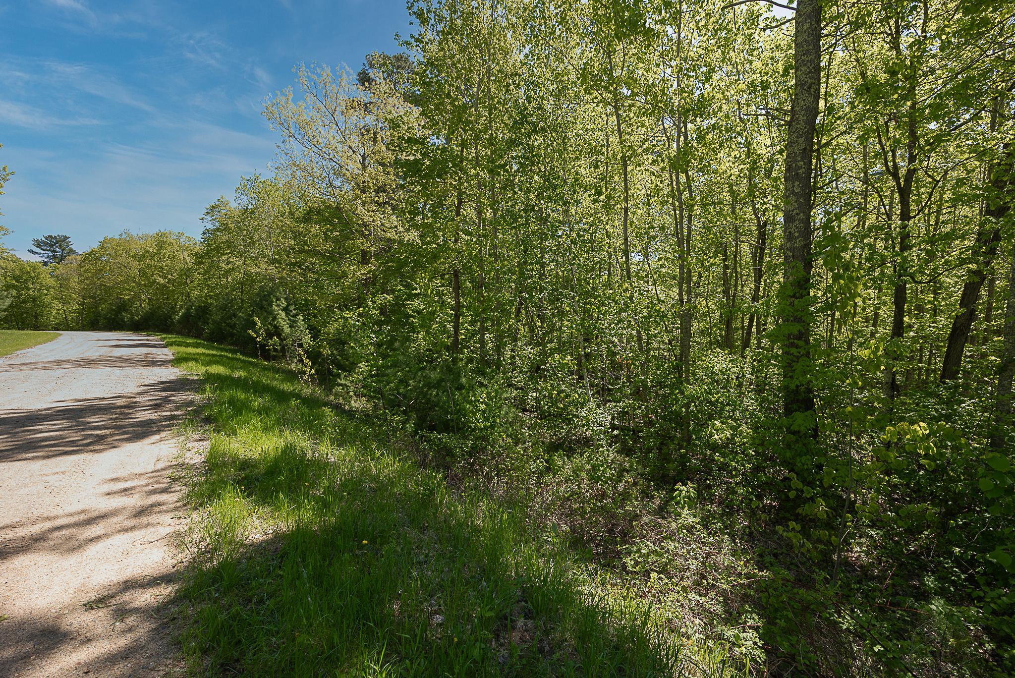 TBD Cardarelle Court, Hackensack, Minnesota image 7