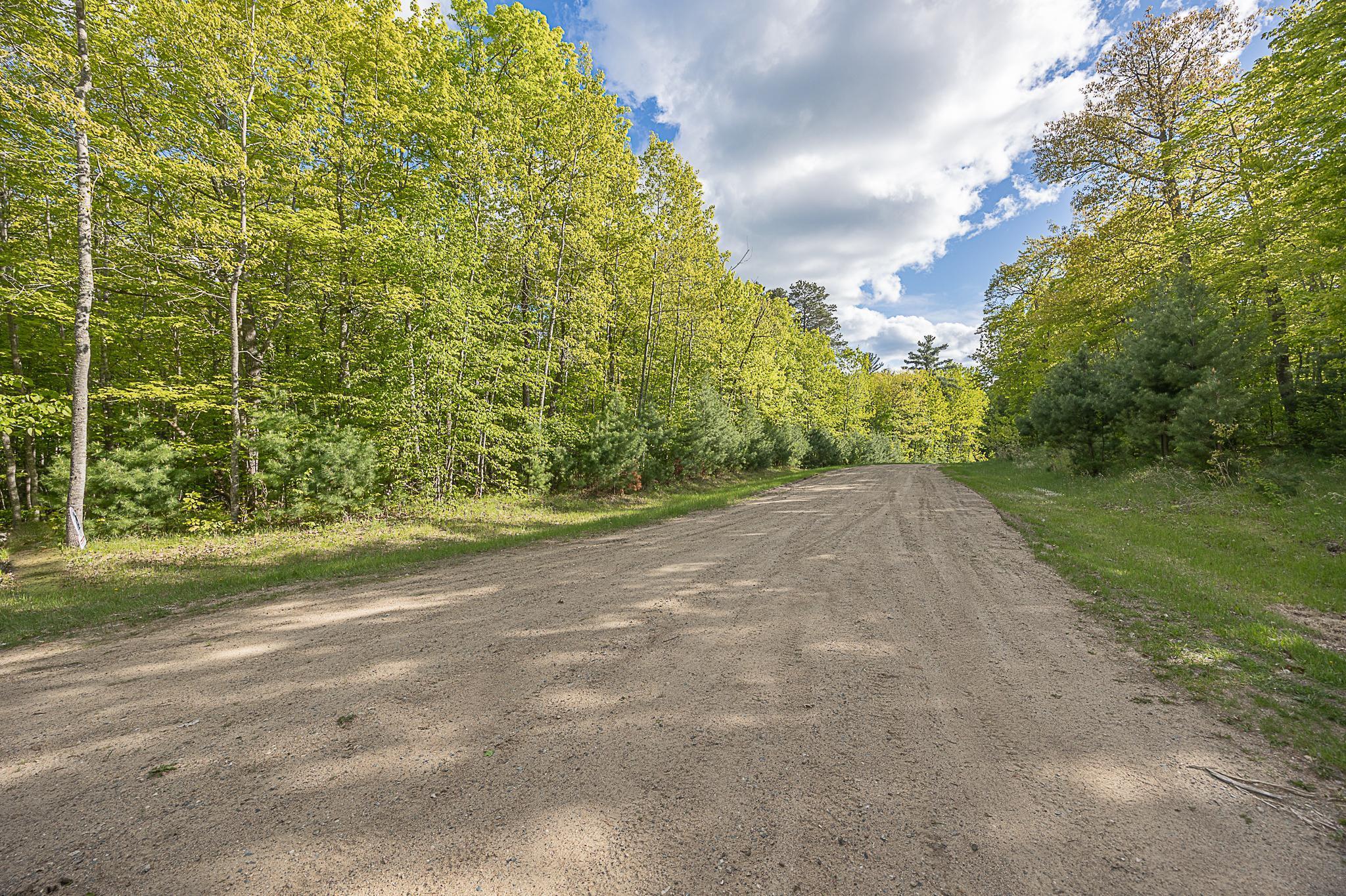 TBD Cardarelle Court, Hackensack, Minnesota image 11