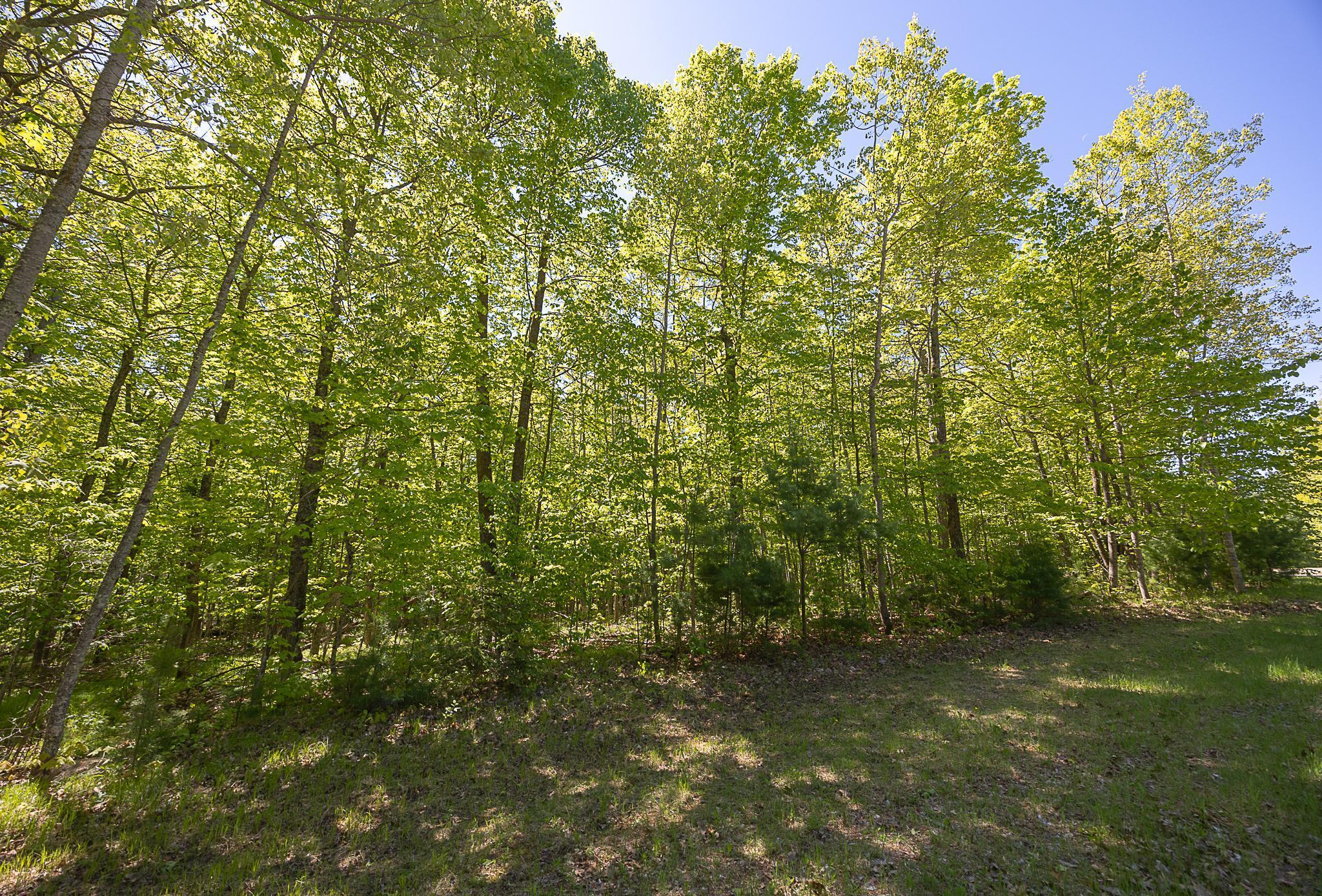 TBD Cardarelle Court, Hackensack, Minnesota image 14