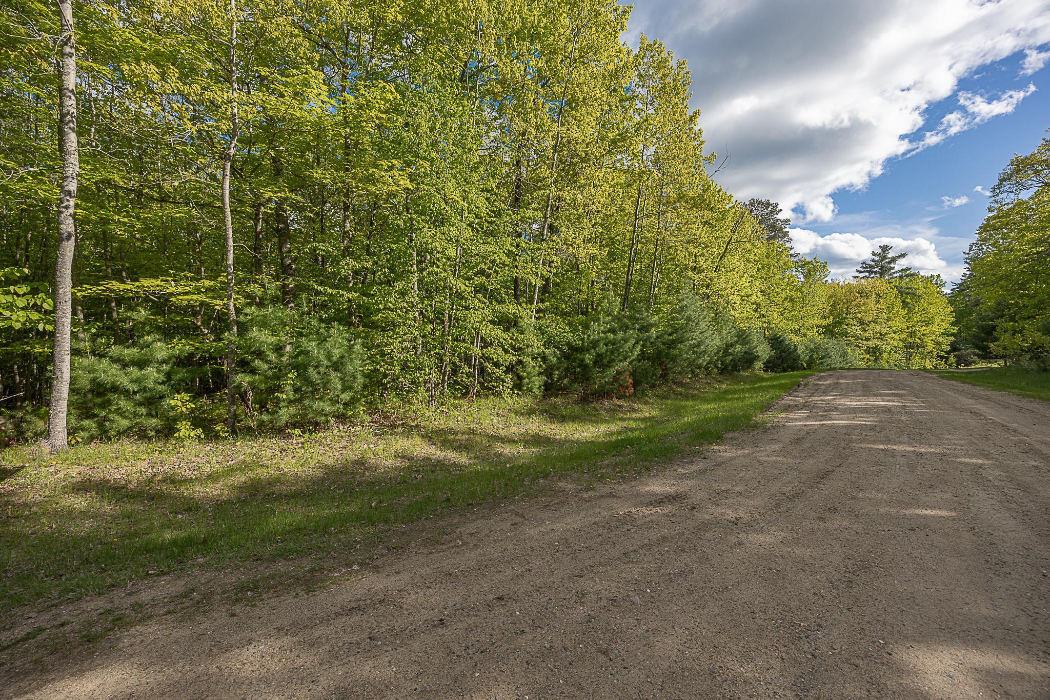 TBD Cardarelle Court, Hackensack, Minnesota image 10