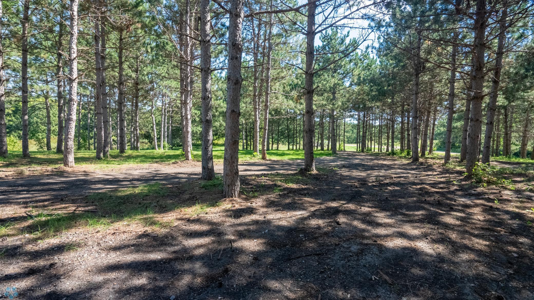 20291 Swenson Drive, Clitherall, Minnesota image 6