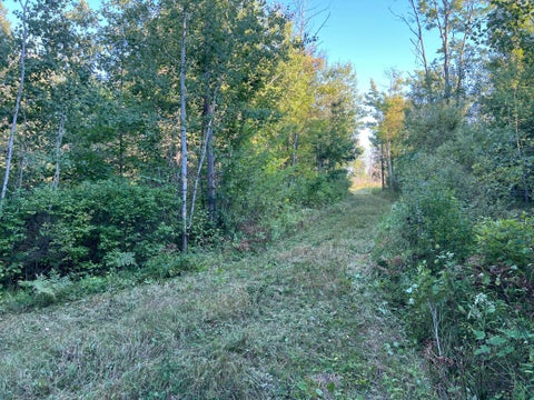 Vacant Land For Sale - 000 Dell Rd<br/> Finlayson, MN 55735