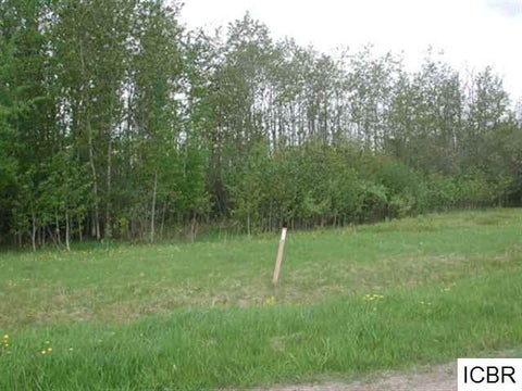 Vacant Land For Sale - LT 2 BLK 3 Aspen Dr<br/> Deer River, MN 56636