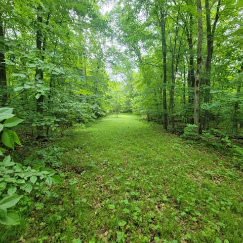 Vacant Land For Sale - TBD 355th Street<br/> Richville, MN 56576