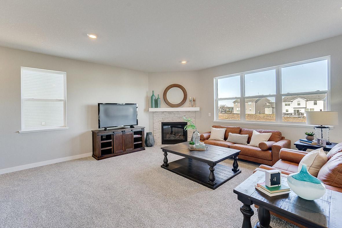 23616 Ashbury Drive, Rogers, Minnesota image 3