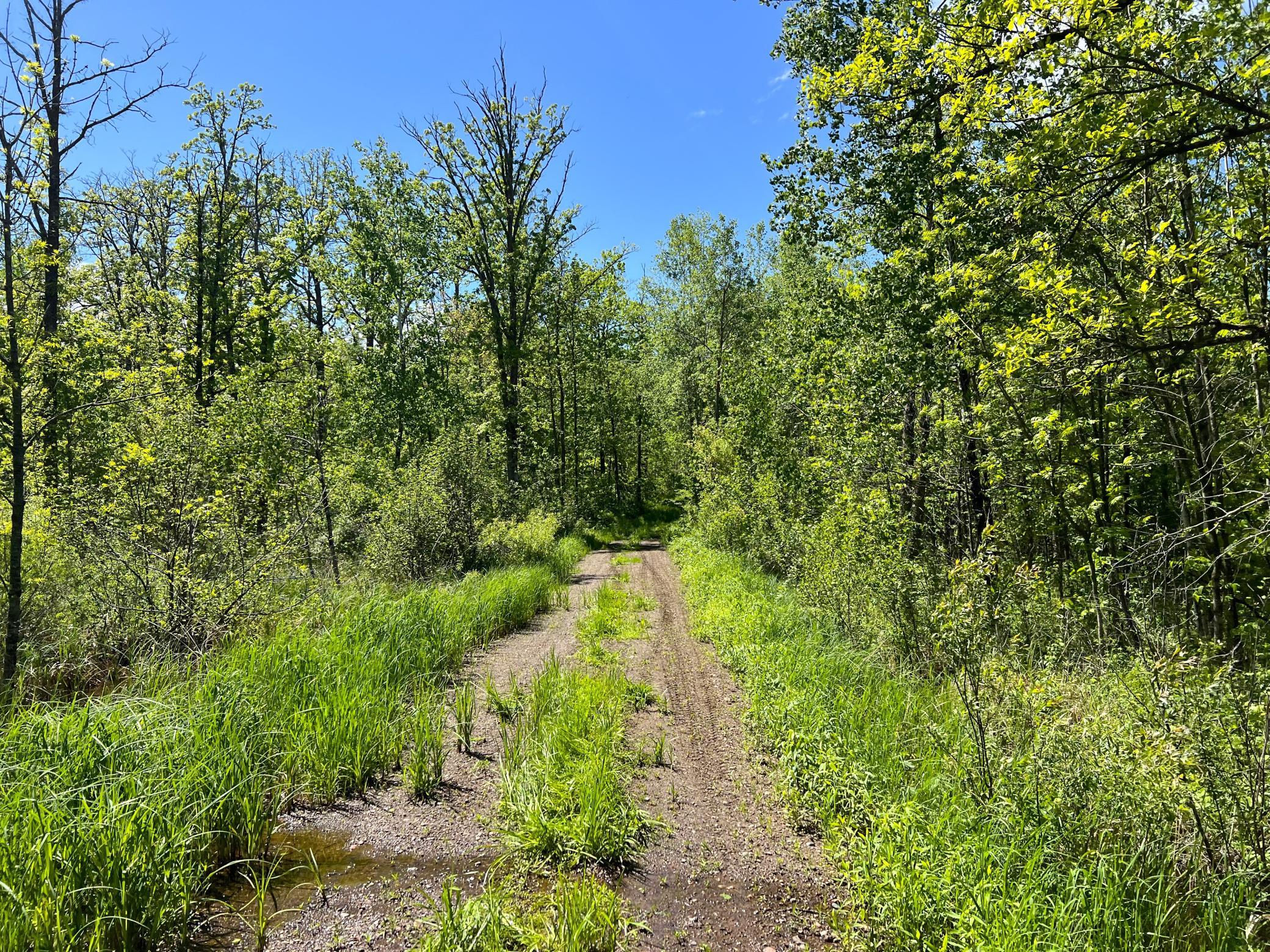 XXX Woods Road, Isle, Minnesota image 34