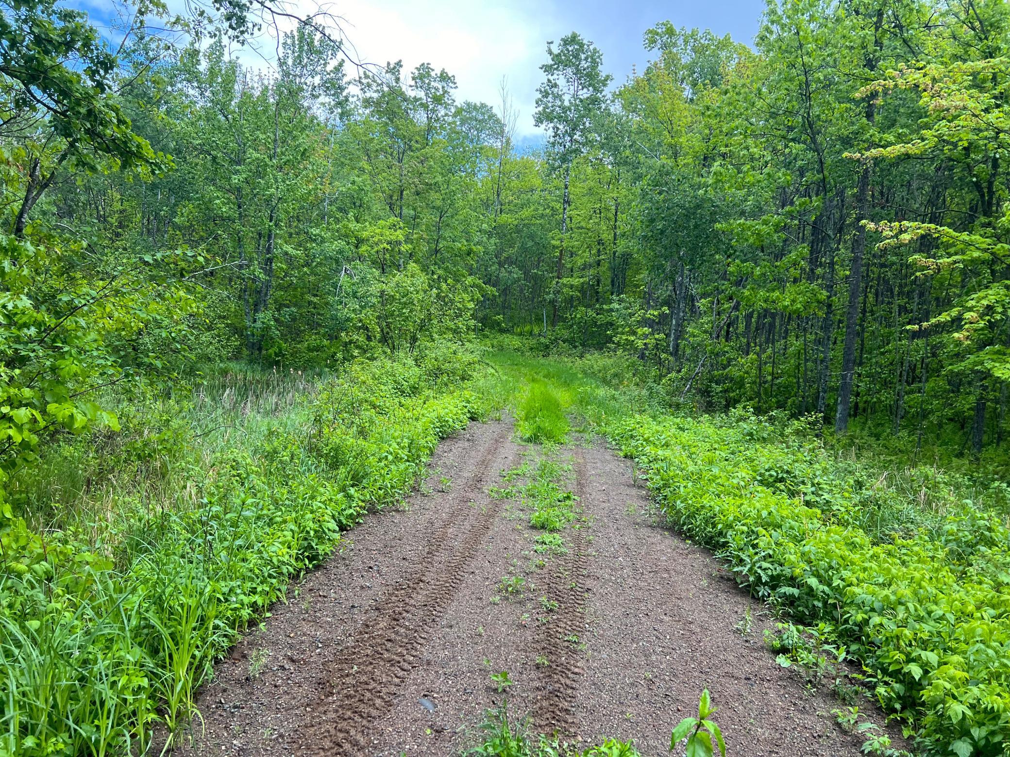 XXX Woods Road, Isle, Minnesota image 4