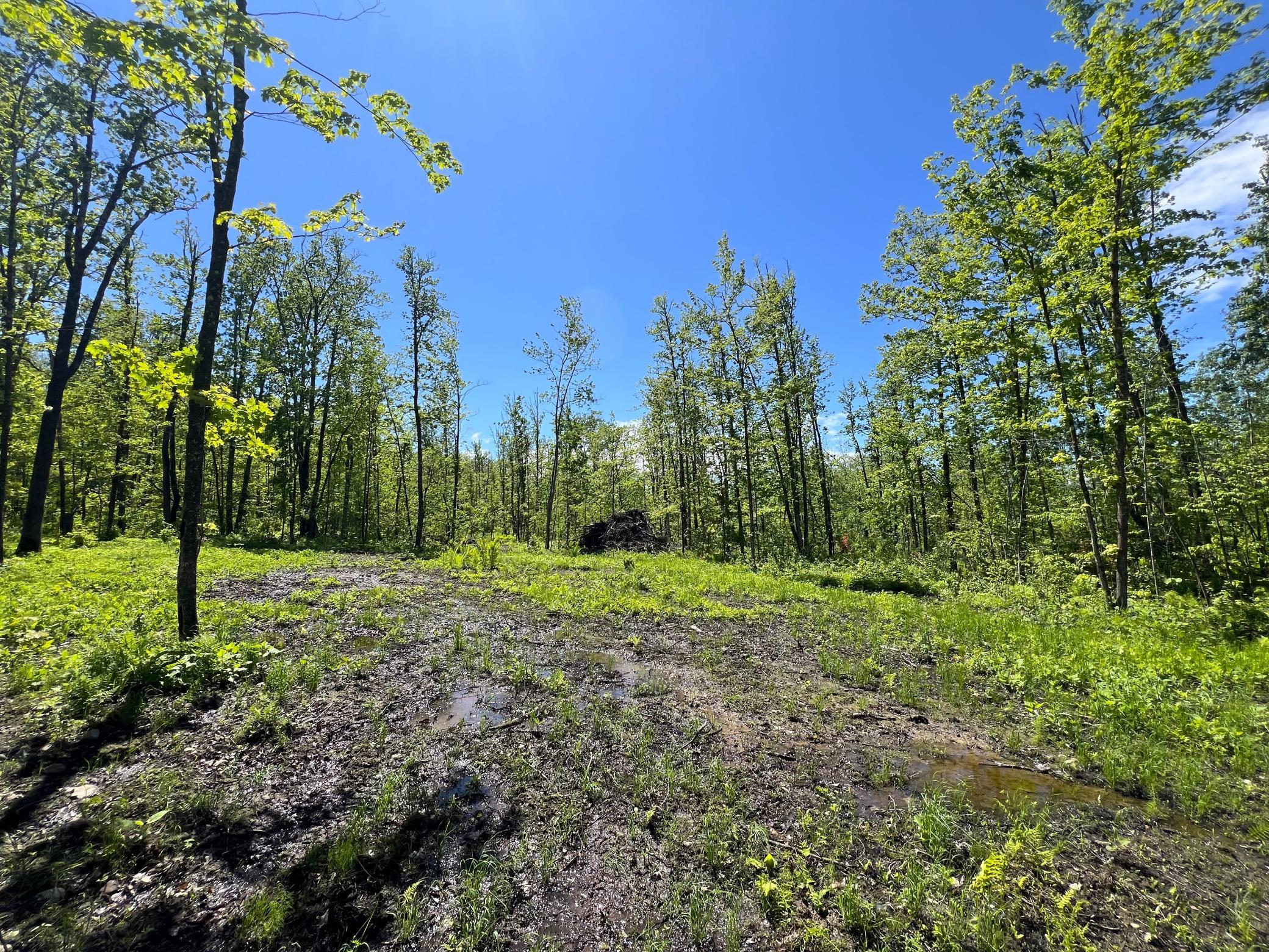 XXX Woods Road, Isle, Minnesota image 31