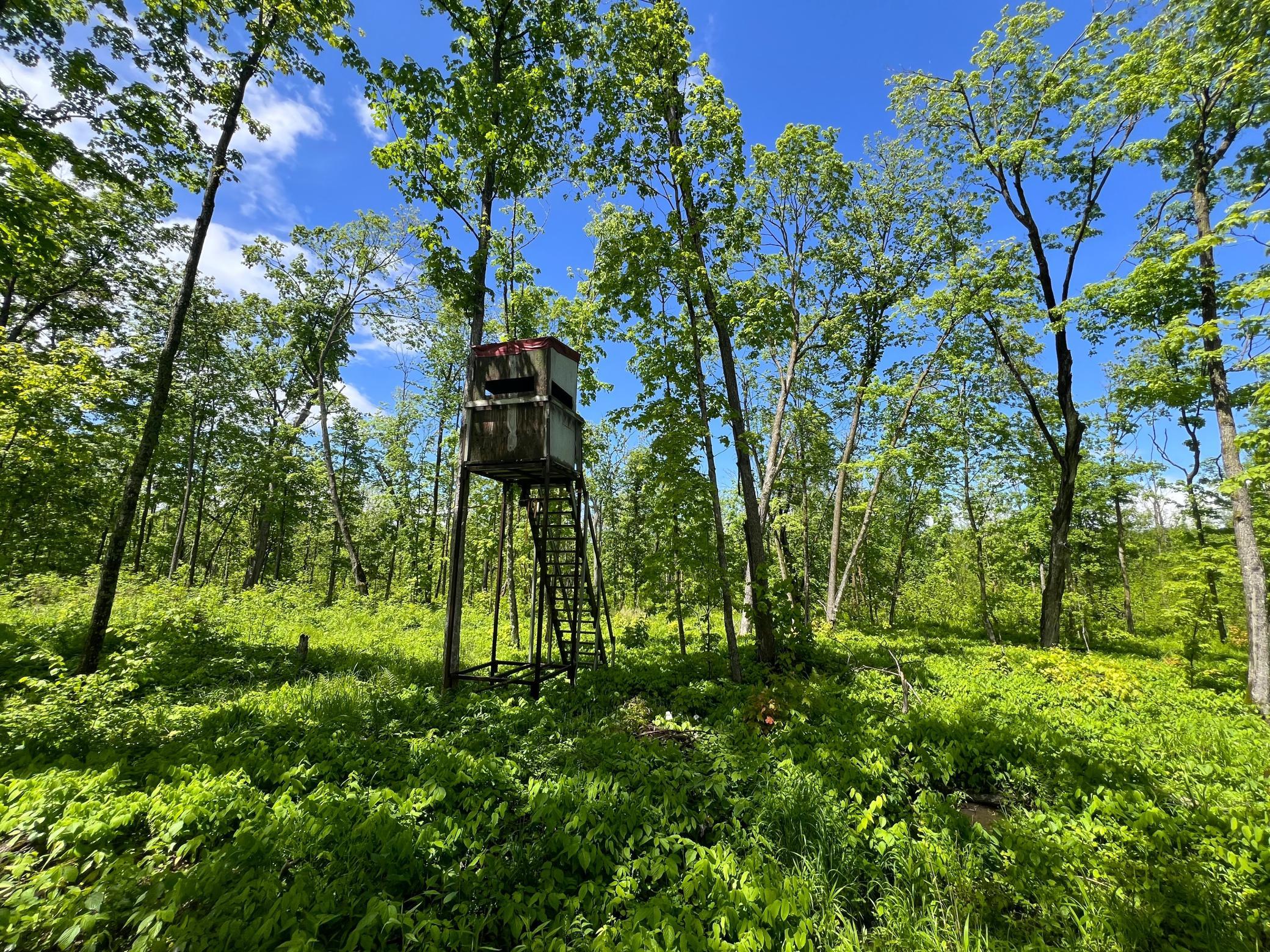 XXX Woods Road, Isle, Minnesota image 14