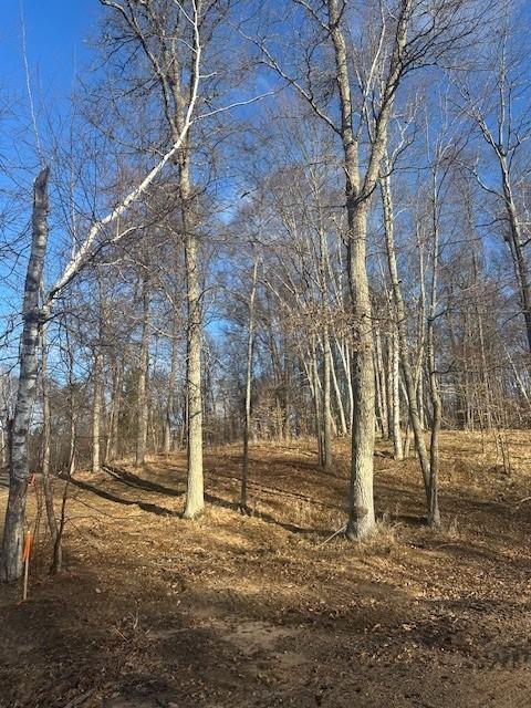 L1B1 Shady Lane, Crosslake, Minnesota image 12
