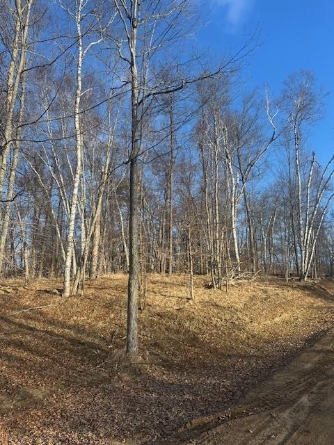 L1B1 Shady Lane, Crosslake, Minnesota image 13