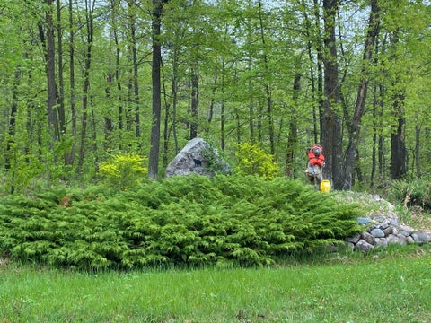Vacant Land For Sale - LOT 16 Bear Tract Lane<br/> Longville, MN 56655