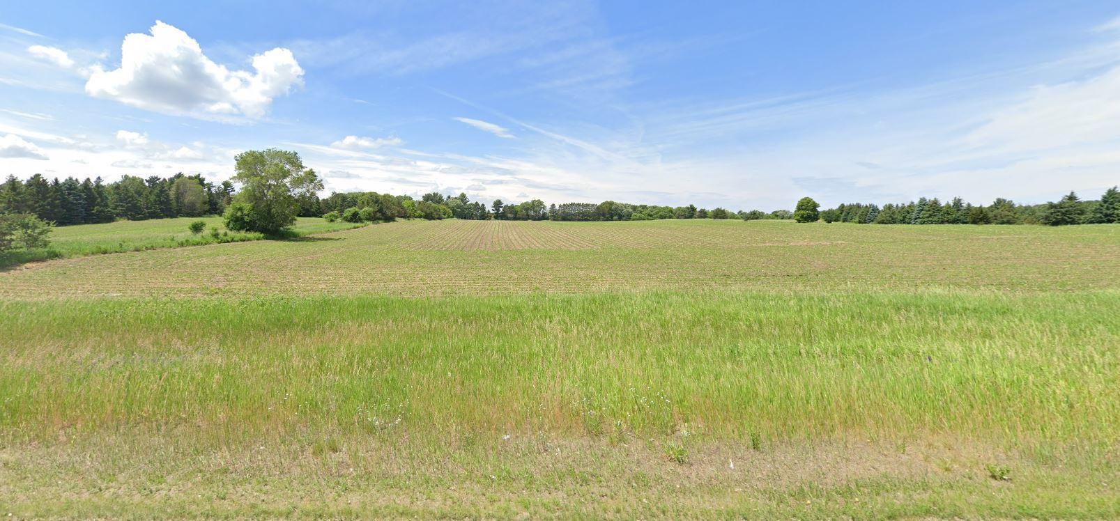 19468 Tamarack Street, Oak Grove, Minnesota image 3