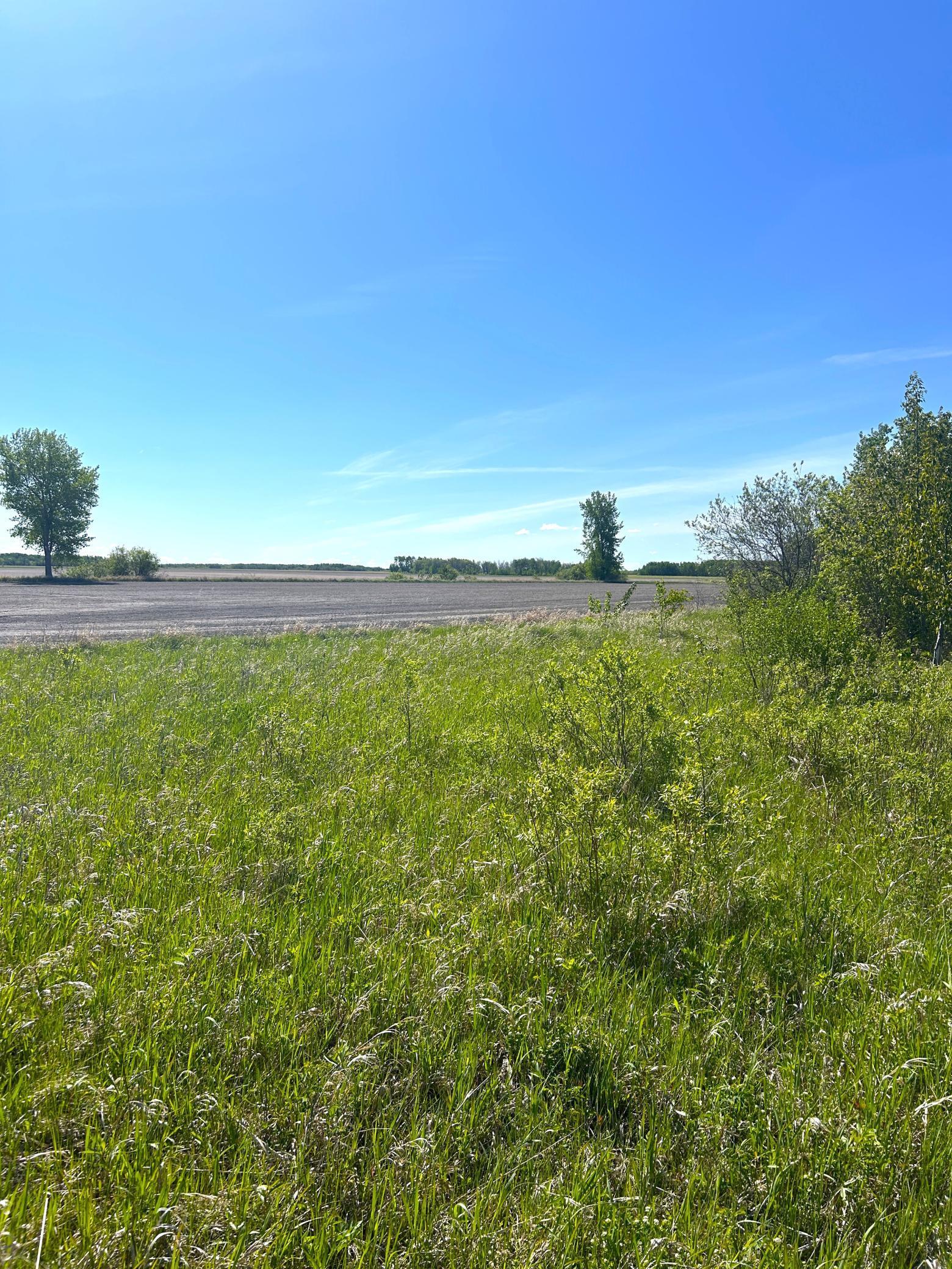 TBD 110th Street, Strathcona, Minnesota image 29