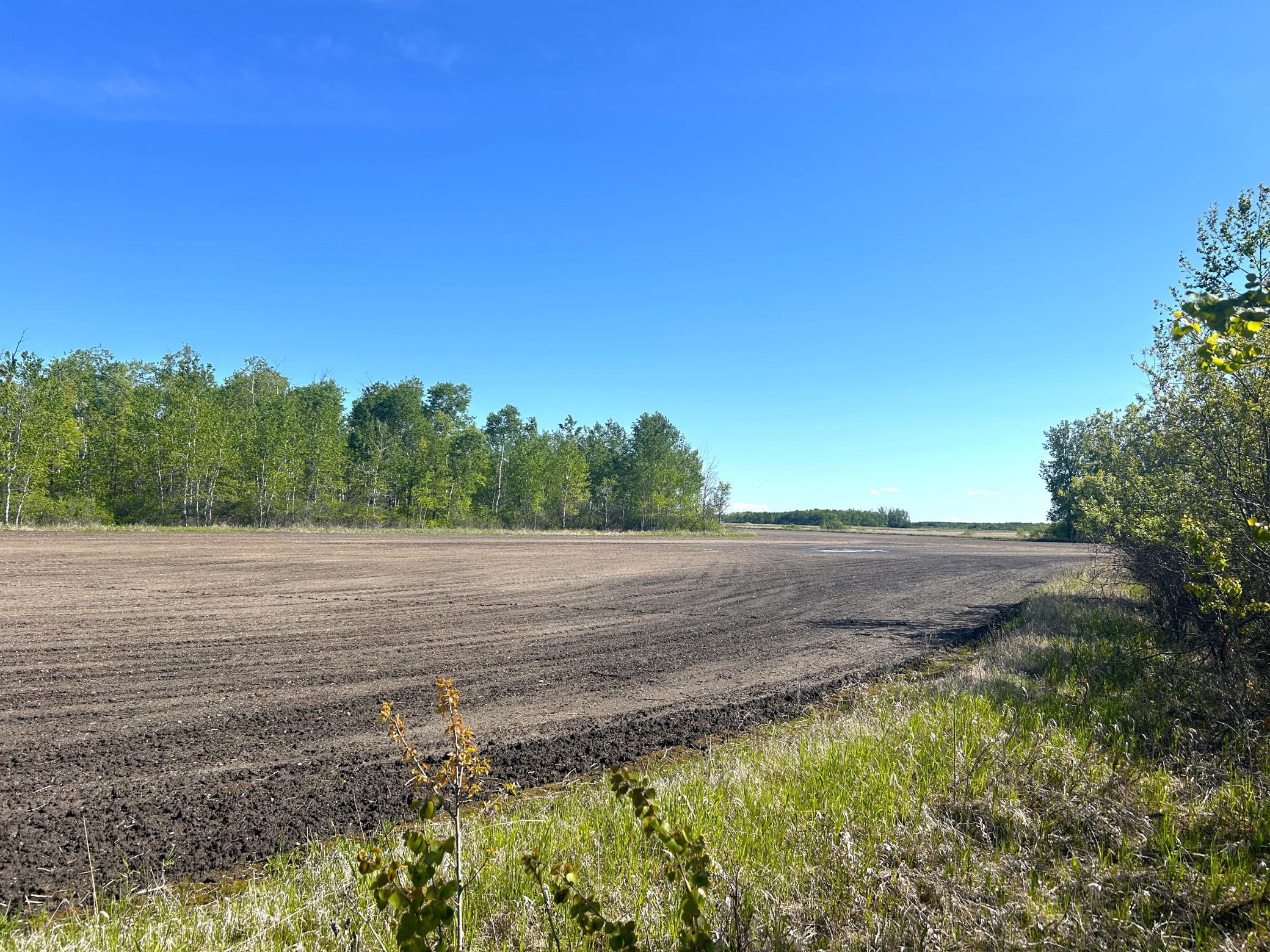 TBD 110th Street, Strathcona, Minnesota image 14