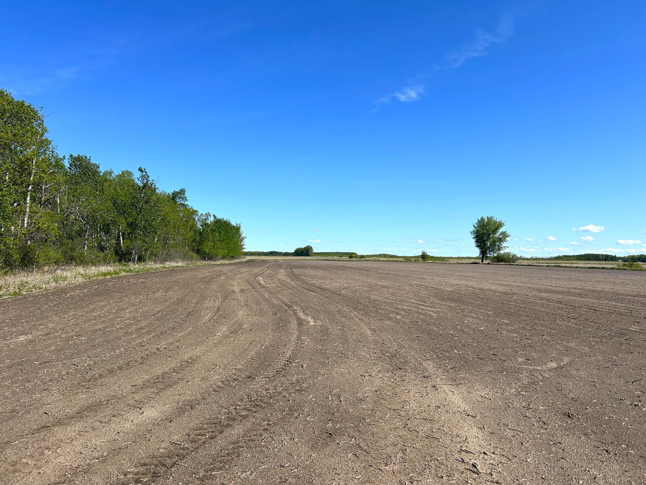 TBD 110th Street, Strathcona, Minnesota image 37