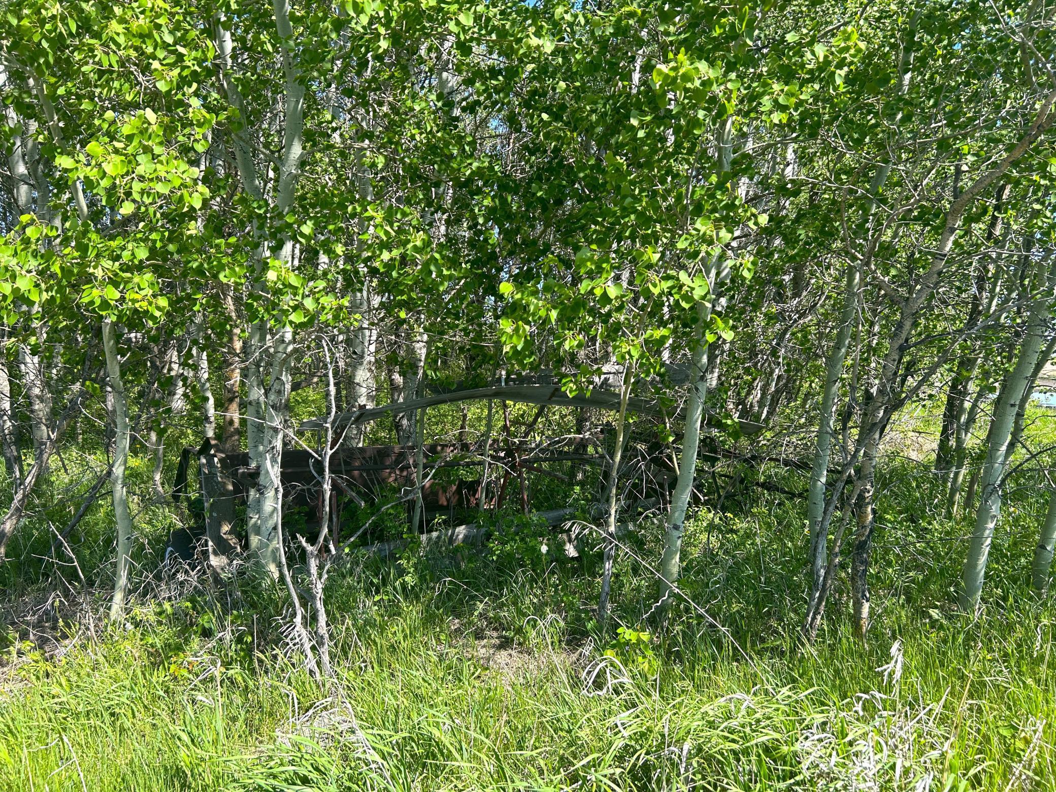 TBD 110th Street, Strathcona, Minnesota image 10