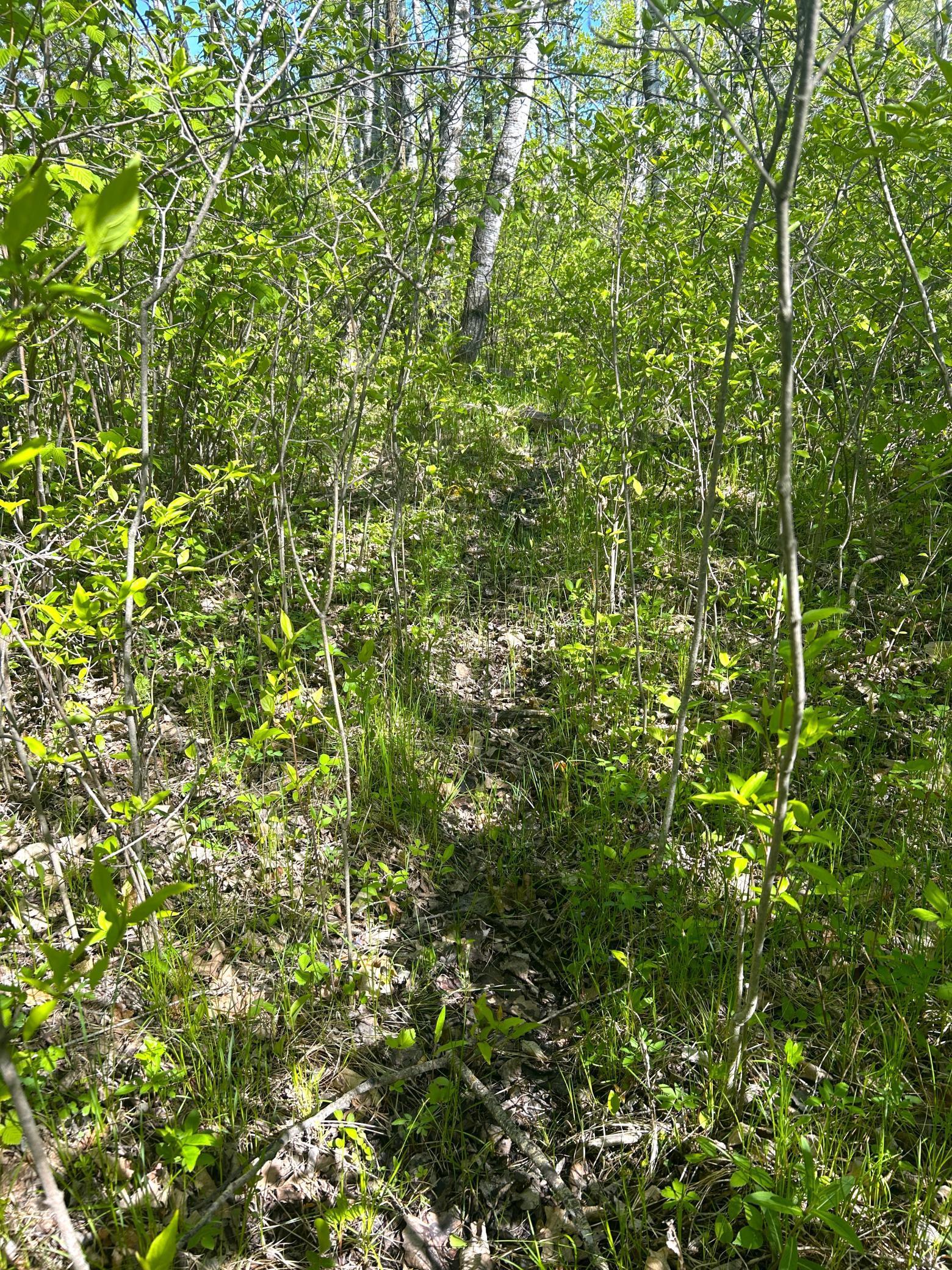 TBD 110th Street, Strathcona, Minnesota image 19