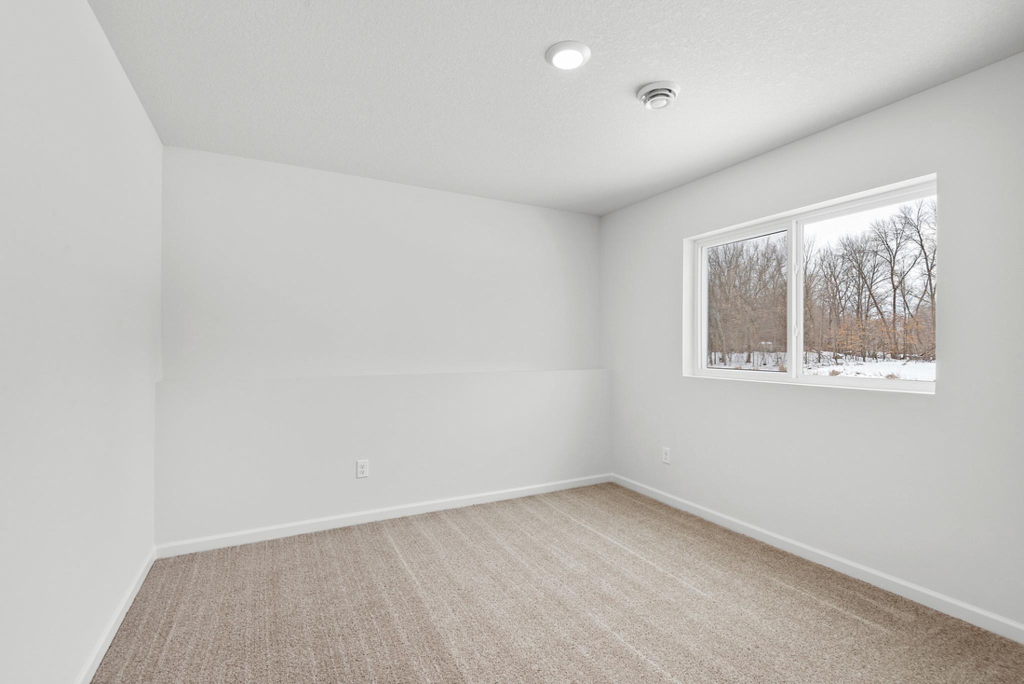 521 Douglas Drive, Annandale, Minnesota image 10