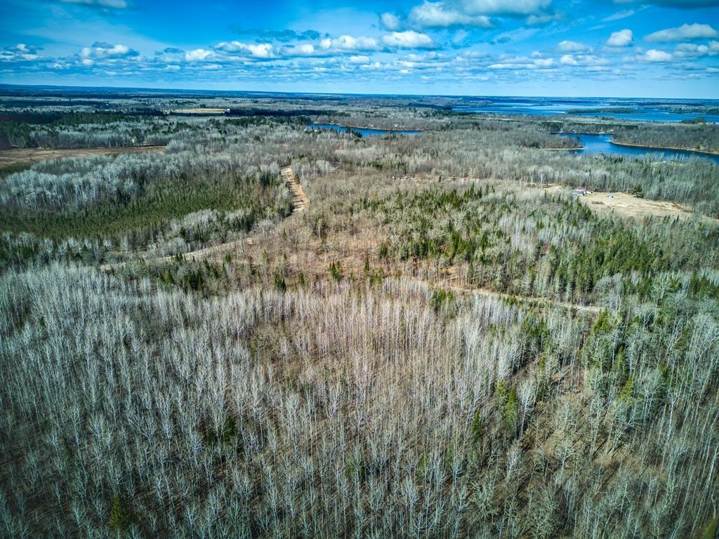 34780 Freestone Road, Grand Rapids, Minnesota image 4