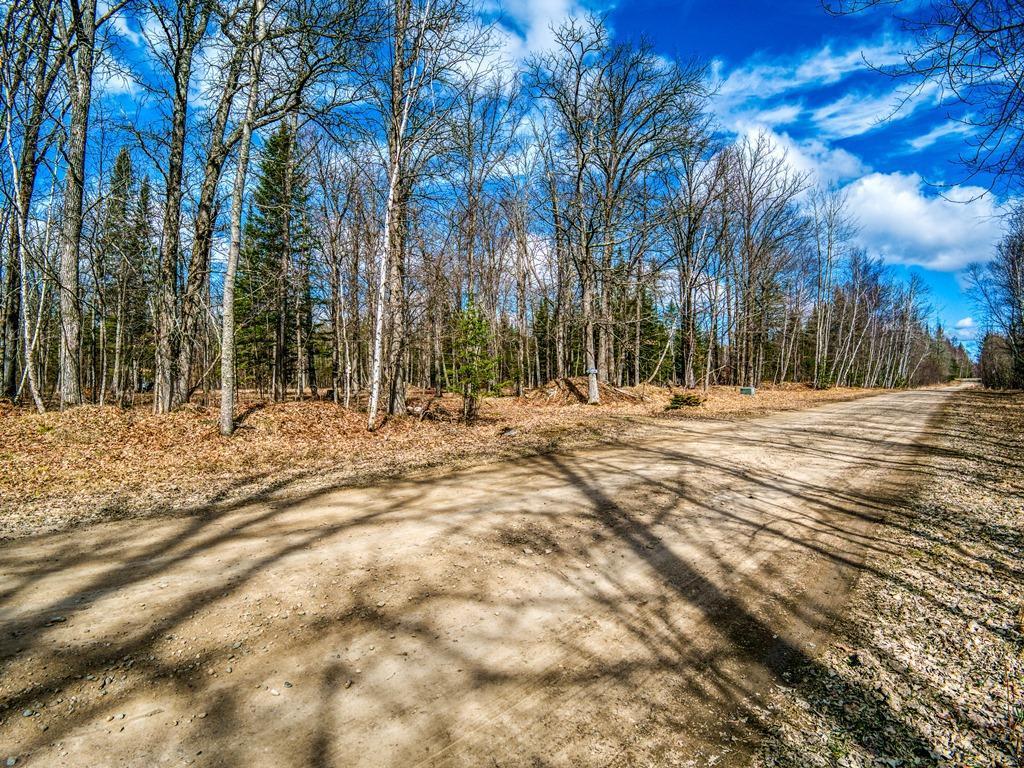 34780 Freestone Road, Grand Rapids, Minnesota image 28