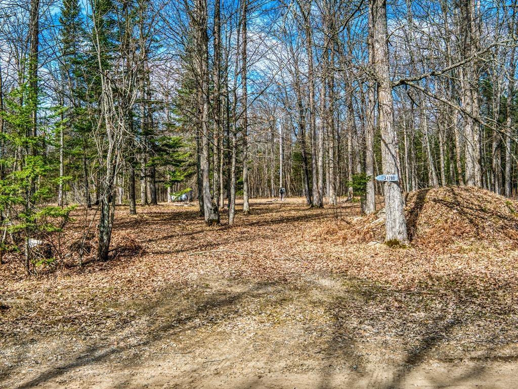 34780 Freestone Road, Grand Rapids, Minnesota image 30