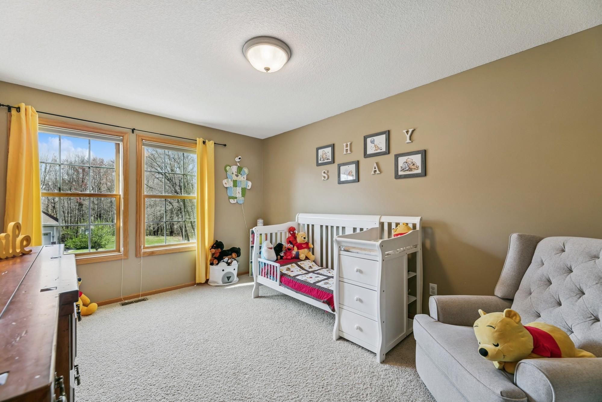 3611 140th Avenue, Ham Lake, Minnesota image 25