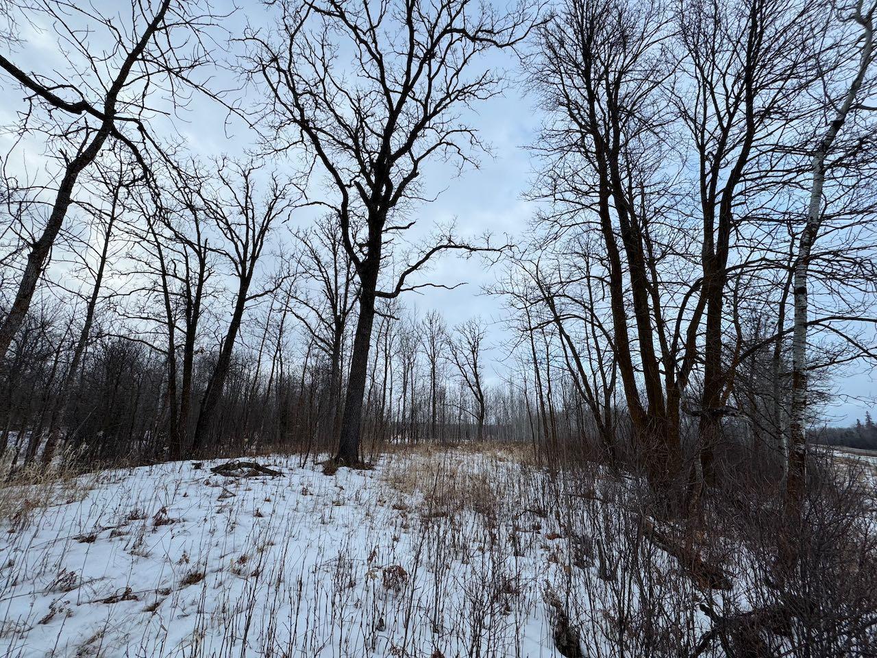 10a Hines Road Ne, Blackduck, Minnesota image 6
