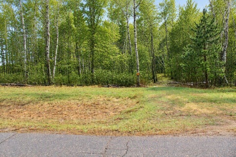 Vacant Land For Sale - TBD 470th Street<br/> Staples, MN 56479