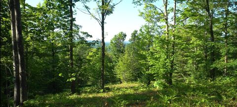 Vacant Land For Sale - 83XXX - LOT 13 Ashwabay Road<br/> Bayfield, WI 54814