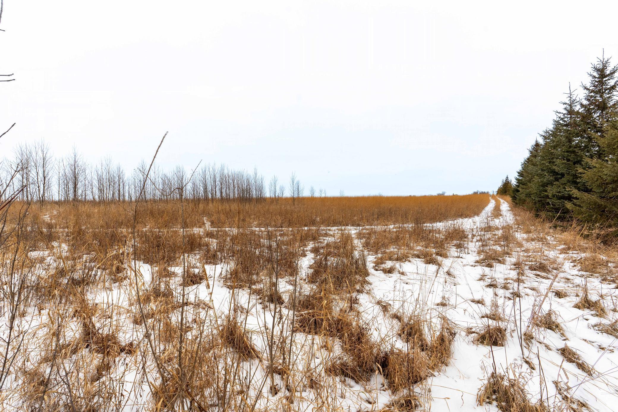 Xxx County Rd 10, Ashby, Minnesota image 5
