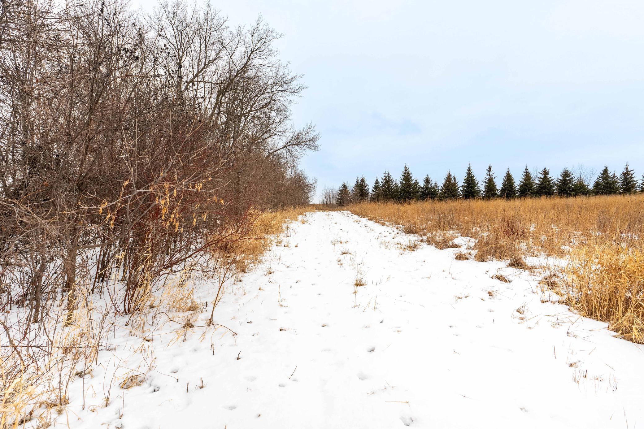 Xxx County Rd 10, Ashby, Minnesota image 3