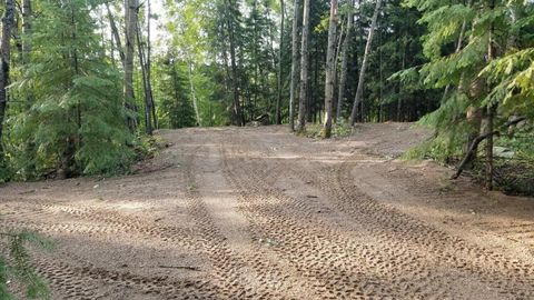 Vacant Land For Sale - TBD 13 Lake Ave S<br/> Saint Louis County, Tower, MN 55790