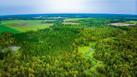 Vacant Land For Sale - LOT 2 N Blackduck Lake Road<br/> Hines, MN 56647