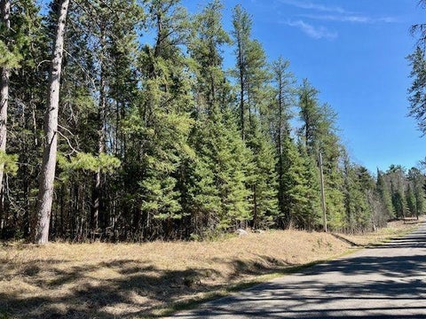 Vacant Land For Sale - TBD N Courage Dr<br/> Lake George, MN 56458