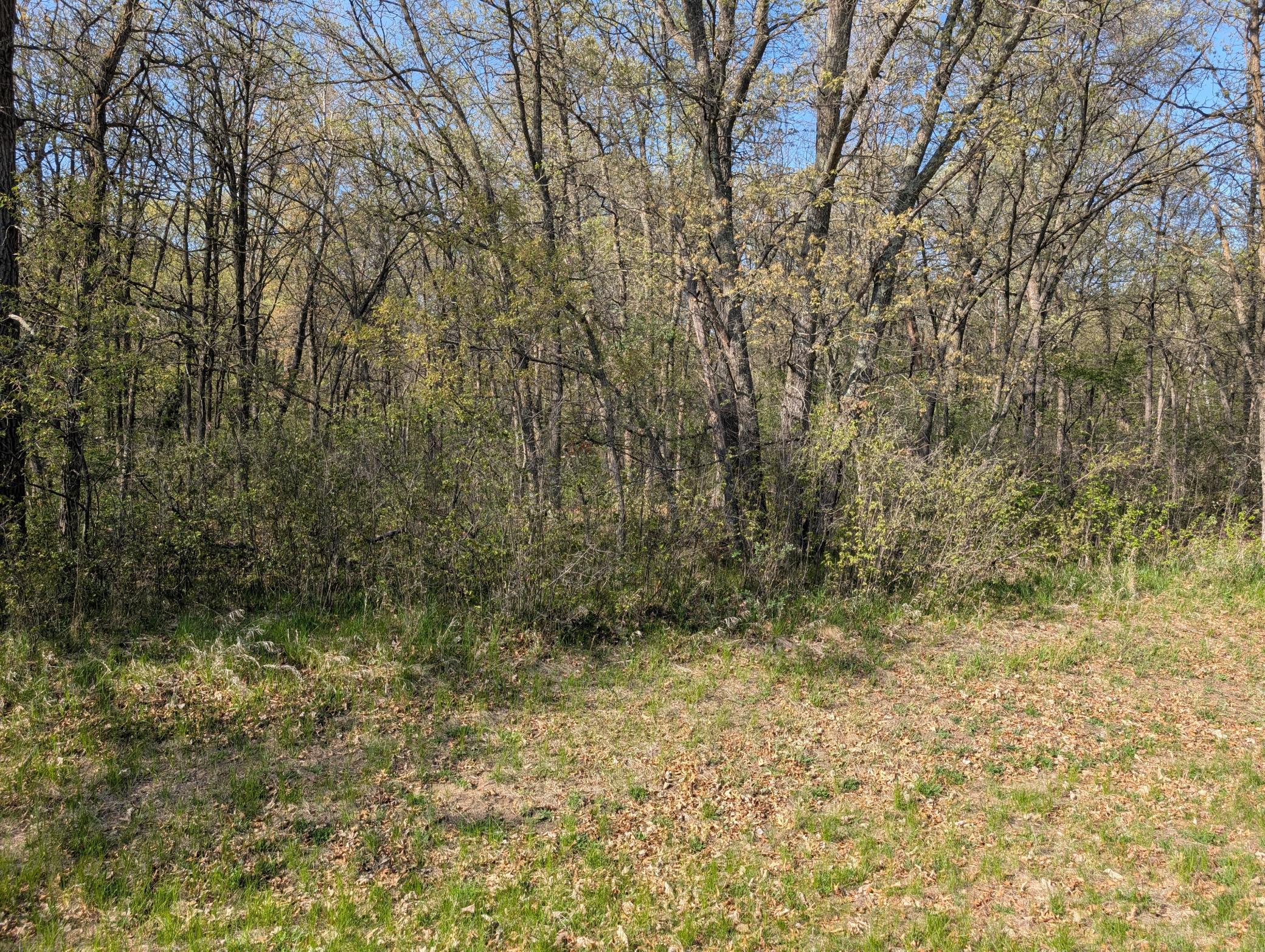 TBD Arbor Lane, Pillager, Minnesota image 3