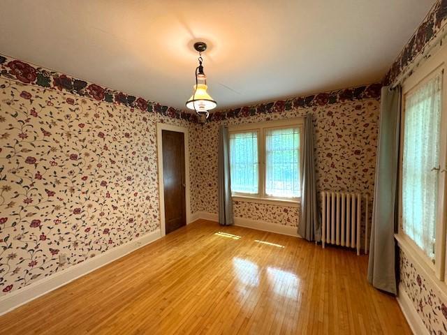 303 Dayton Avenue, Wadena, Minnesota image 28