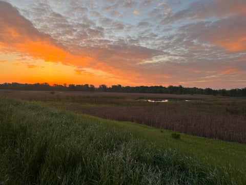 Vacant Land For Sale - 8XXX 200th Street<br/> Forest Lake, MN 55025