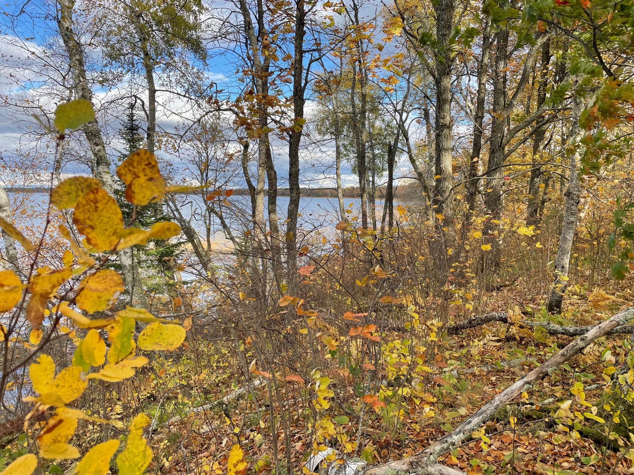 TBD Forest Road 2196e, Squaw Lake, Minnesota image 9