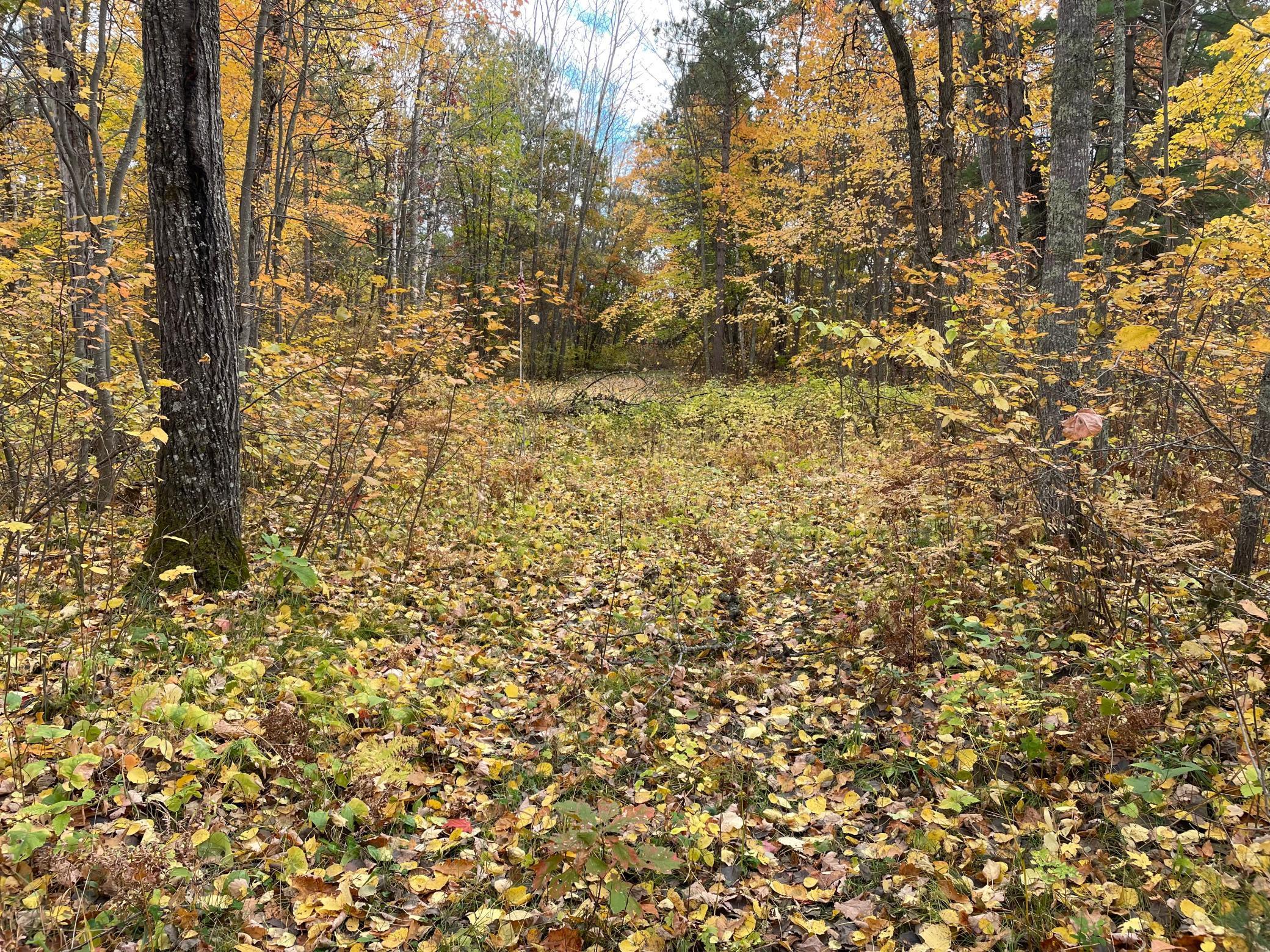 TBD Forest Road 2196e, Squaw Lake, Minnesota image 8