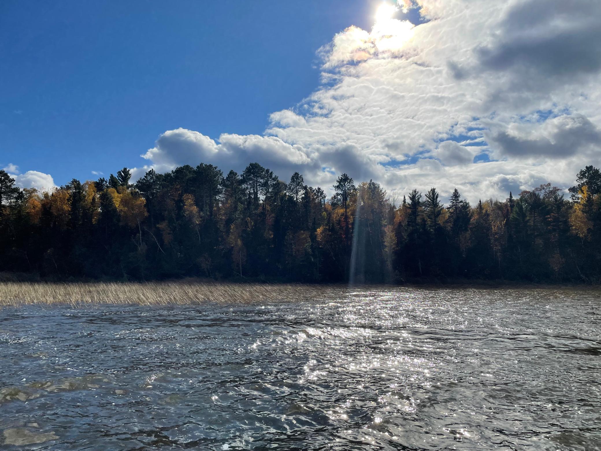 TBD Forest Road 2196e, Squaw Lake, Minnesota image 6