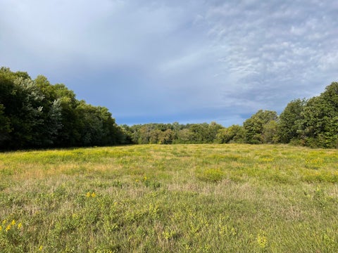 Vacant Land For Sale - TBD Xxx 140th Avenue<br/> Mille Lacs County, Foreston, MN 56330