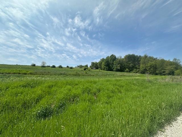 TBD XXXX Maple Road, Preston, Minnesota image 9