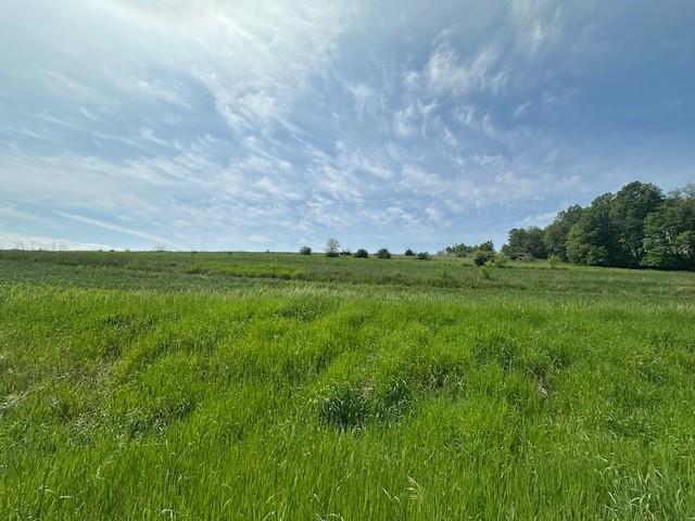 TBD XXXX Maple Road, Preston, Minnesota image 11