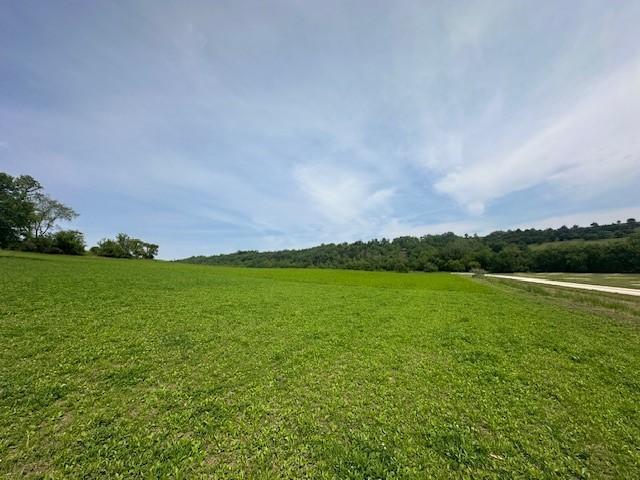 TBD XXXX Maple Road, Preston, Minnesota image 6