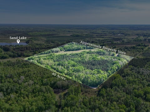 Vacant Land For Sale - TBD North Shallow Lake Route<br/> Warba, MN 55793