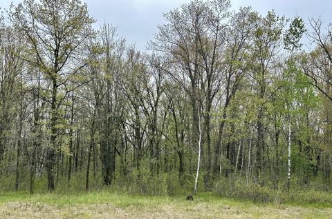 Vacant Land For Sale - TBD Jewel Road<br/> Morrison County, Little Falls, MN 56345
