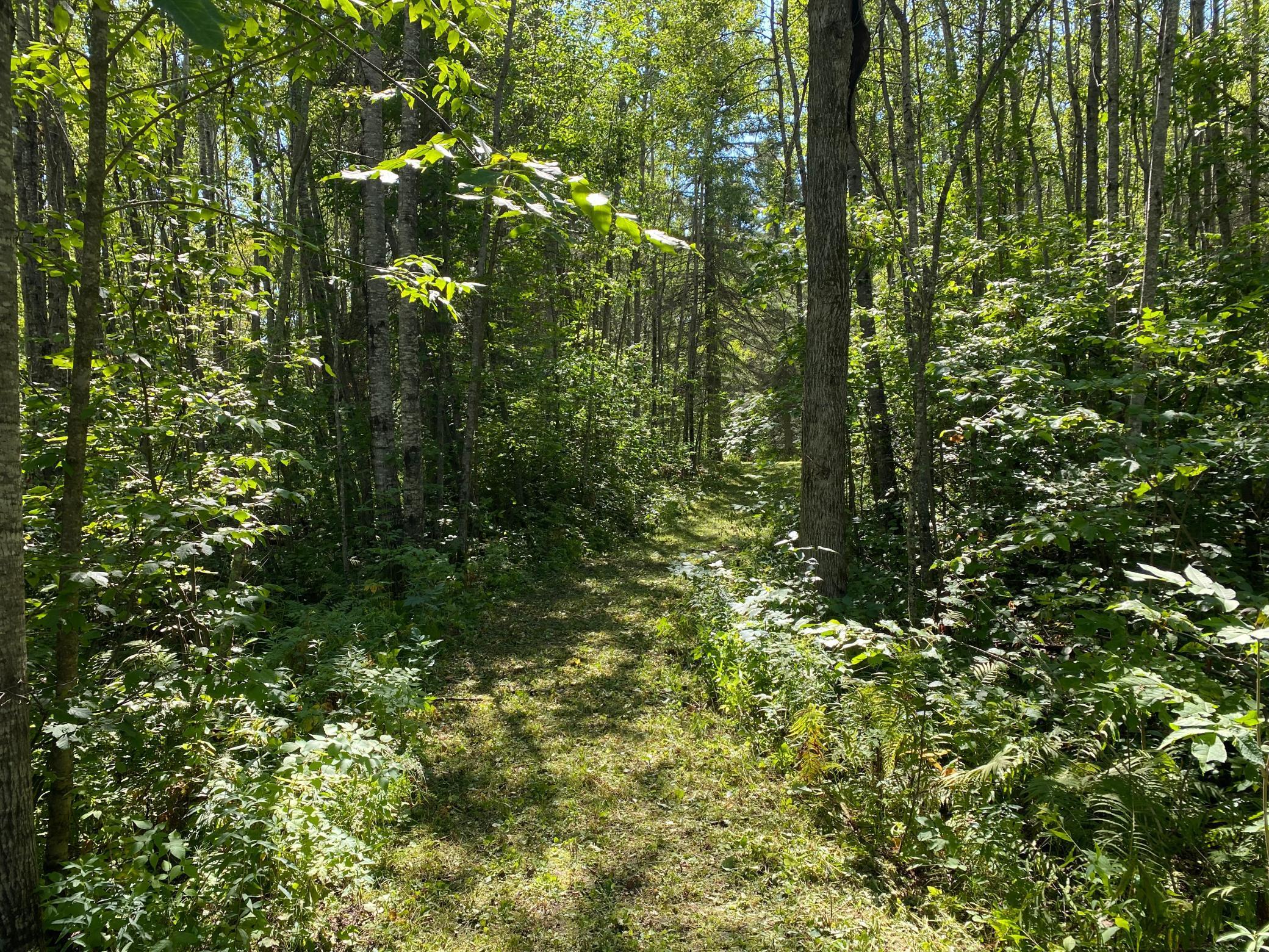 TBD Buck Dr., Bovey, Minnesota image 9