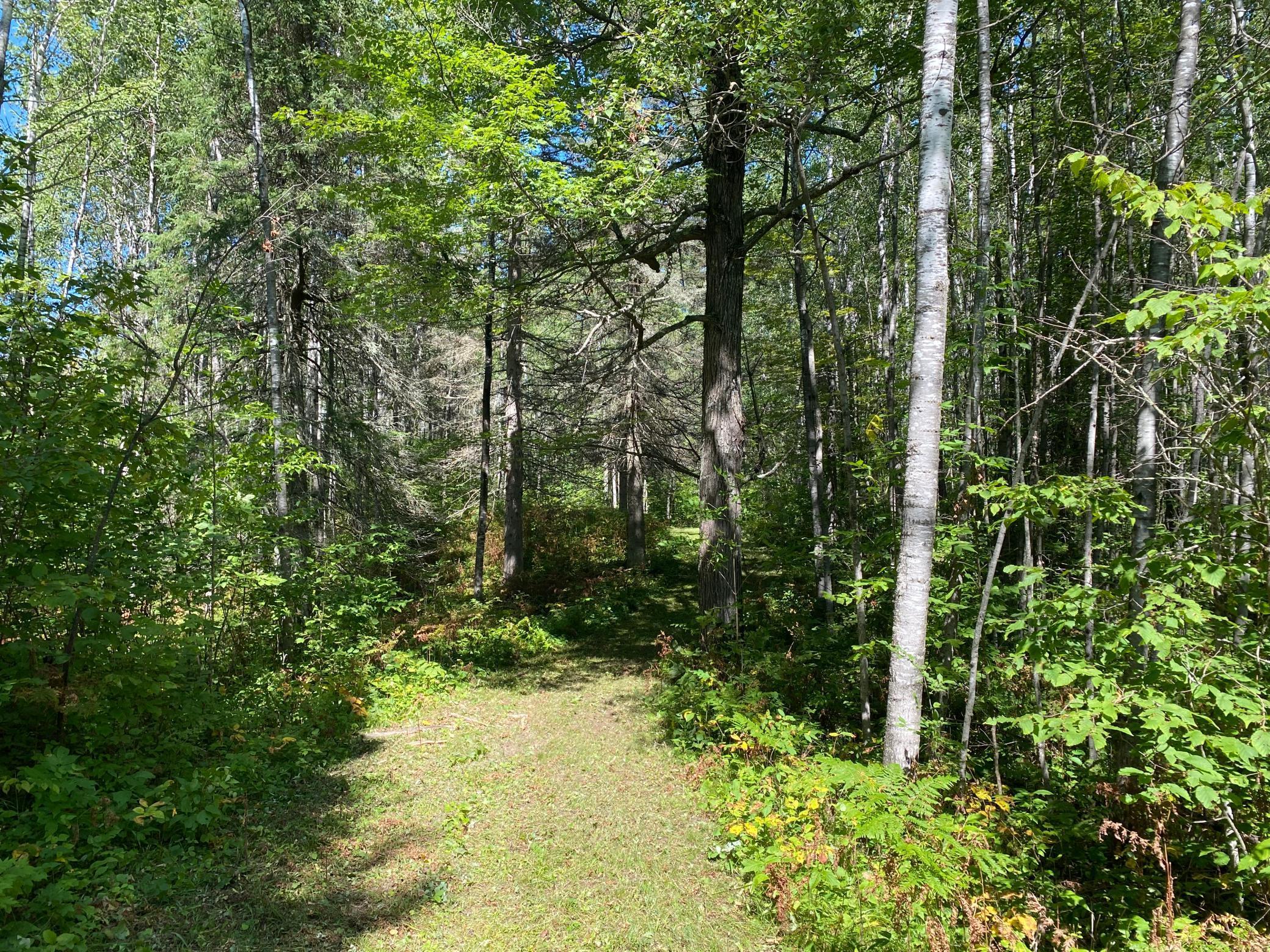 TBD Buck Dr., Bovey, Minnesota image 19